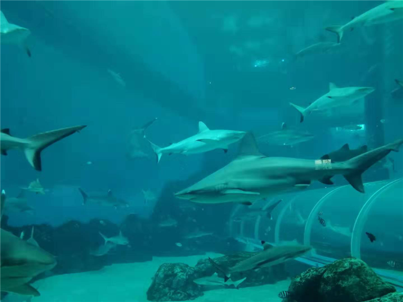 5c8f07f977061.png 李仝竺3_副本.png