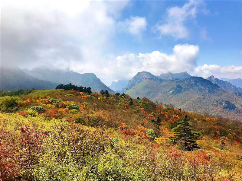 5da18c68174b8.png 1_副本.png