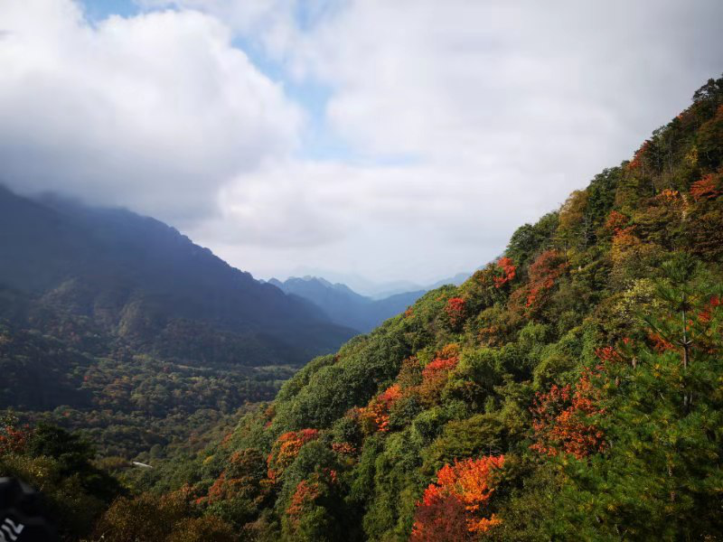 5da7d1ced963f.png 圖片3_副本.png