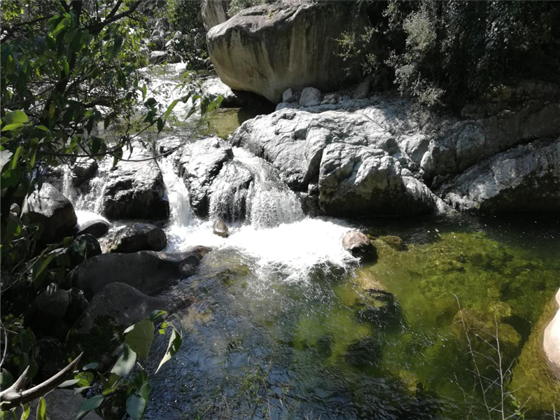 5db3fb830da9c.png 葛亞飛_副本.png