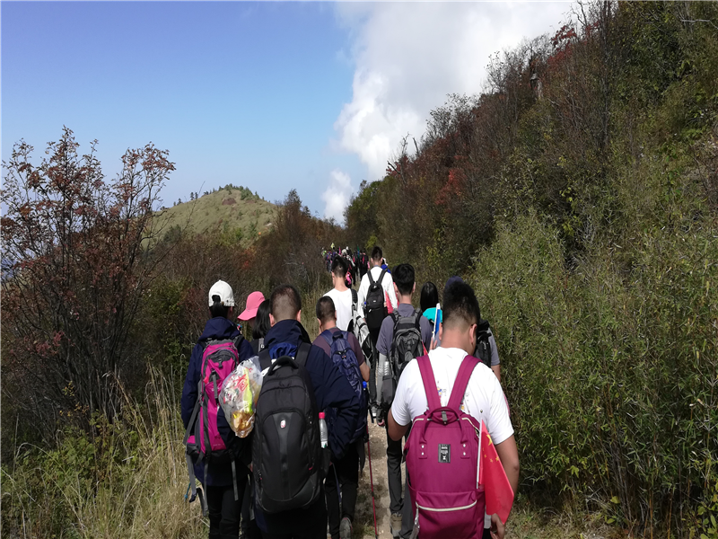 5db3fb9fad108.png 4_副本.png