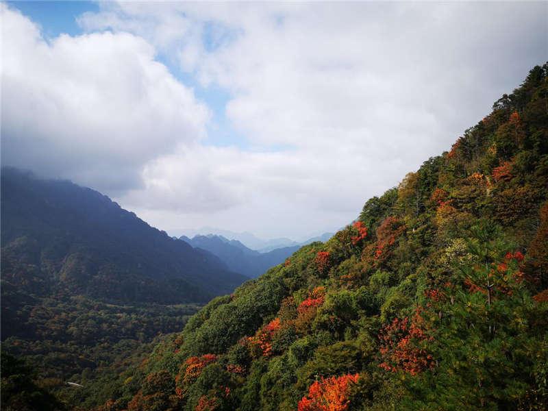 5db404e64b691.png 圖片4_副本.png